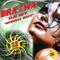 Bratwa DJs SET Vol.12 CD1