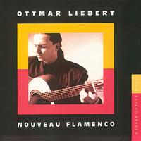 Nouveau Flamenco cover mp3 free download  