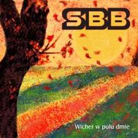 Anthology 1974 - 2004 CD 22 Wicher w polu dmie cover mp3 free download  