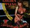 Golden Piano Hits