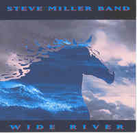 Wide River cover mp3 free download  