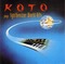 Koto Plays Synthesizer World Hits