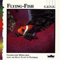 Flying Fish cover mp3 free download  