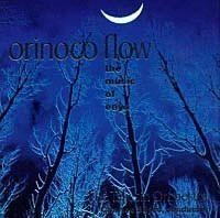 Orinoco Flow - The Music of Enya cover mp3 free download  