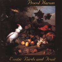 Exotic Birds And Fruit cover mp3 free download  