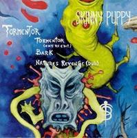 Tormenator CD5 cover mp3 free download  