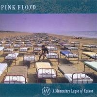 A Momentary Lapse Of Reason cover mp3 free download  