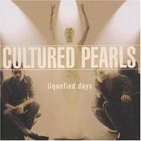 Liquefied Days cover mp3 free download  