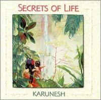 Secrets of Life cover mp3 free download  