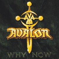 Why Now cover mp3 free download  
