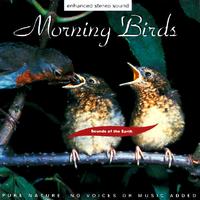 Sounds Of The Earth: Morning Birds cover mp3 free download  