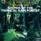 The Sounds Of Nature: Sounds Of The Tropical Rain Forest