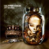 Art Of Voice cover mp3 free download  