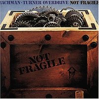 Not Fragile cover mp3 free download  