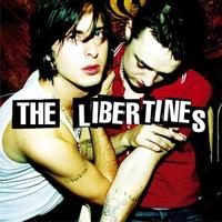 The Libertines cover mp3 free download  