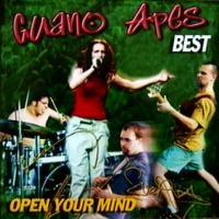 Open Your Mind cover mp3 free download  