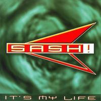 It`s My Life (Sash!) cover mp3 free download  