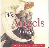 Where Angels Tread cover mp3 free download  