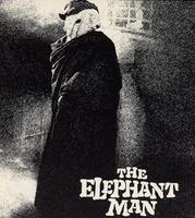 The Elephant Man cover mp3 free download  
