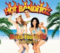 Shake Your Balla 1 2 3 Alarma cover mp3 free download  