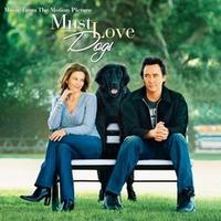 Must Love Dogs cover mp3 free download  