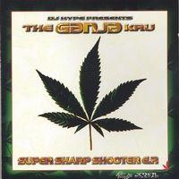 Super Sharp Shooter cover mp3 free download  