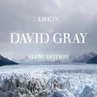Life in Slow Motion cover mp3 free download  