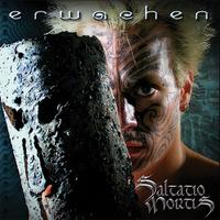 Erwachen (Saltatio Mortis) cover mp3 free download  