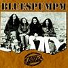 Bluespumpm cover mp3 free download  