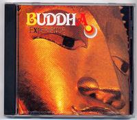 Buddha Experience cover mp3 free download  