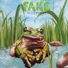 Frogs In Spain cover mp3 free download  