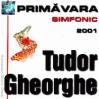 Primavara Simfonic cover mp3 free download  