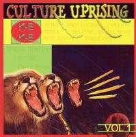 Culture Uprising Vol.1 cover mp3 free download  