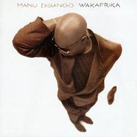 Wakafrika cover mp3 free download  