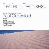 Paul Oakenfold Perfect Remixes cover mp3 free download  
