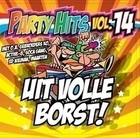 Party Hits Vol.14 cover mp3 free download  