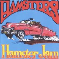 Hamster Jam cover mp3 free download  