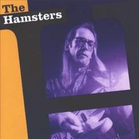 The Hamsters cover mp3 free download  
