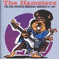 The Jimi Hendrix Memorial Concerts (Purple Disc) cover mp3 free download  
