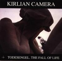 Todesengel. The Fall of Life cover mp3 free download  