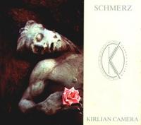 Schmerz cover mp3 free download  
