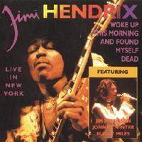 Live in New York (The Jimi Hendrix Experience) cover mp3 free download  