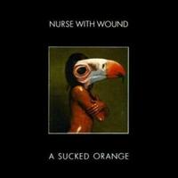A Sucked Orange cover mp3 free download  