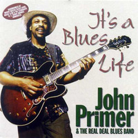 It`s a Blues Life cover mp3 free download  