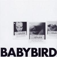 Collection (Babybird) cover mp3 free download  