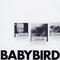 Collection (Babybird)