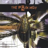 Tribute To The Prodigy cover mp3 free download  