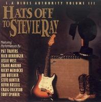 Hats Of To Stevie Ray cover mp3 free download  