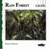 Rain Forest cover mp3 free download  