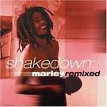 Shakedown Marley Remixed cover mp3 free download  